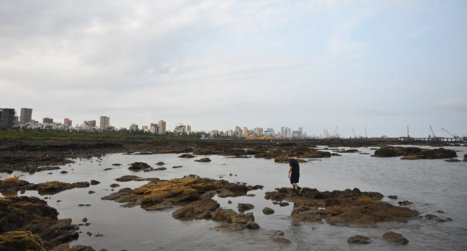 The Mumbai skyline and coastal road seen from Bandra, with high-rises lining the waterfront