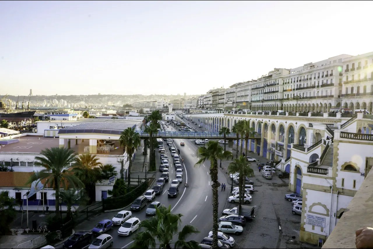 White French-era buildings with arcades line the waterfront boulevard of Algiers, with palm trees and traffic below and the port in the distance