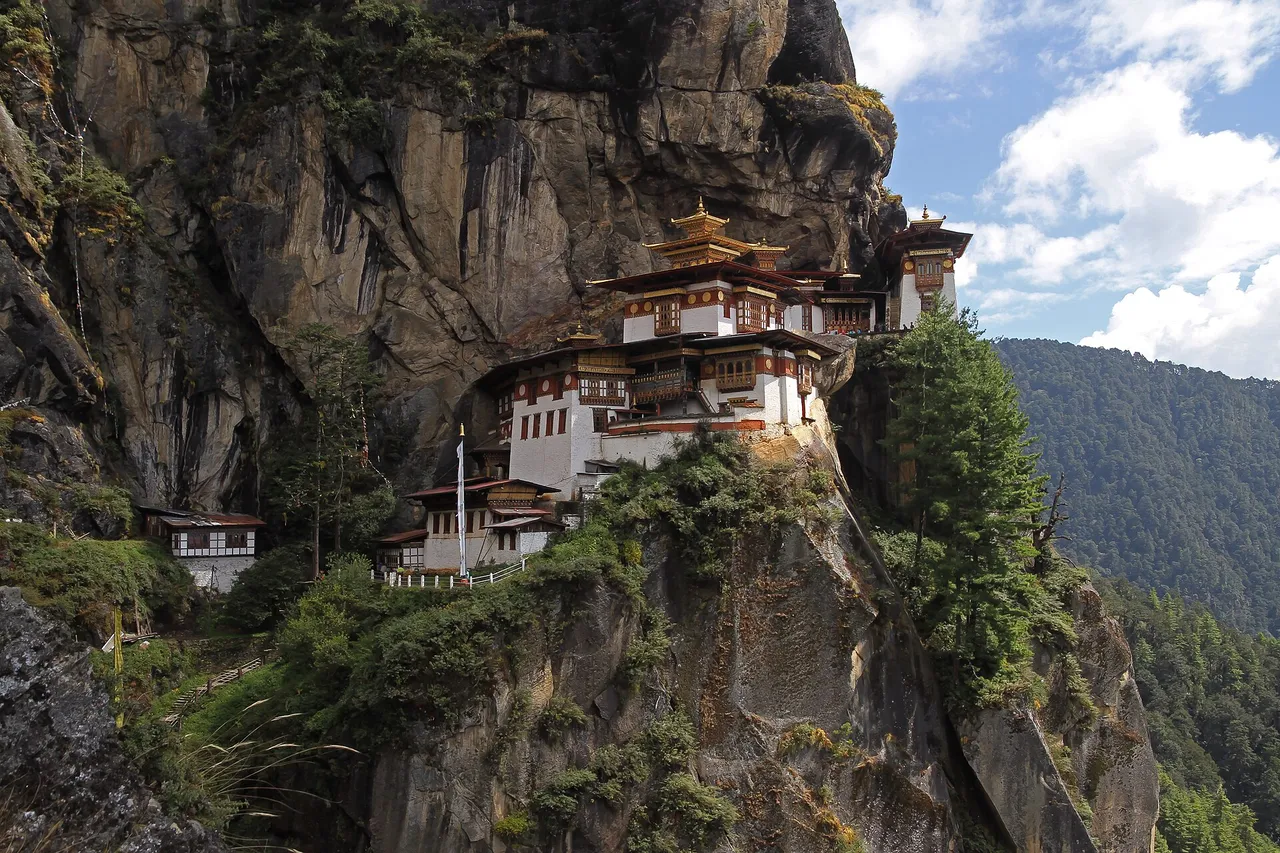 The white Tiger's Nest monastery with golden roofs clinging to a sheer rock cliff above a forested valley