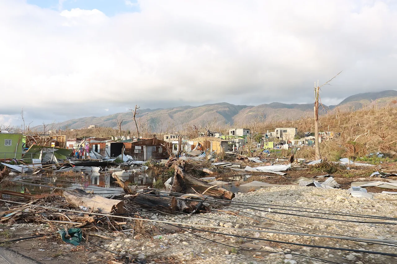 A village in Jamaica after Hurricane Melissa, with flattened houses, broken trees, fallen power lines and debris in front of green hills