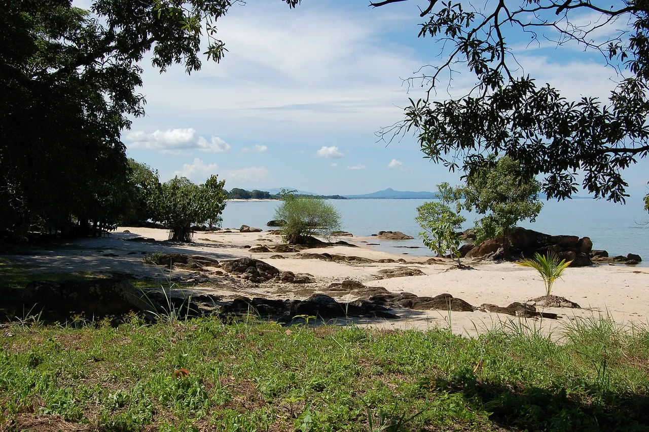 A sandy beach with rocks and small trees on the shore of Lake Malawi, with calm water and hills on the horizon