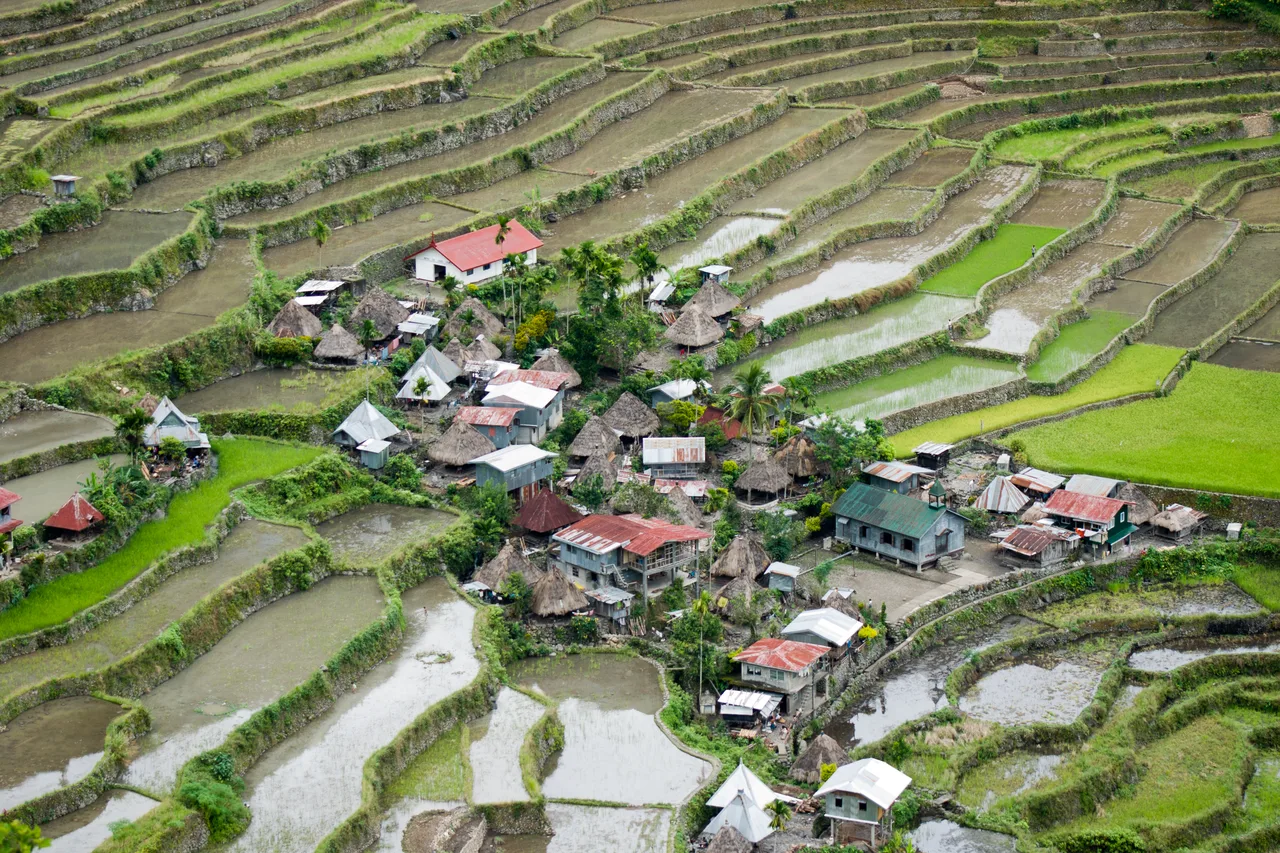 Rice terraces climbing the hillsides around the village of Batad, with houses and flooded paddies in the valley