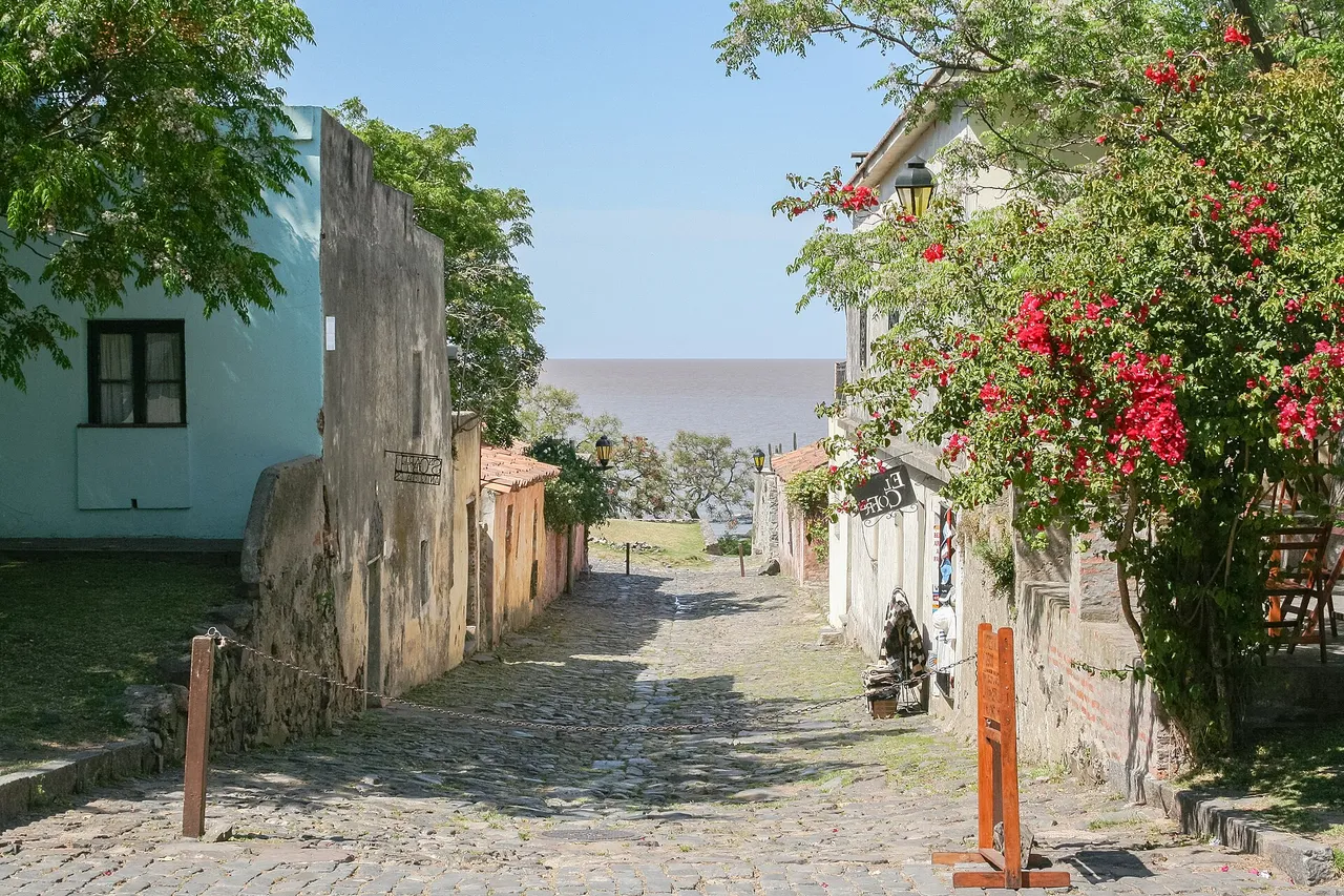 A cobbled street between old colonial houses and a red bougainvillea runs down to the wide brown water of the Río de la Plata