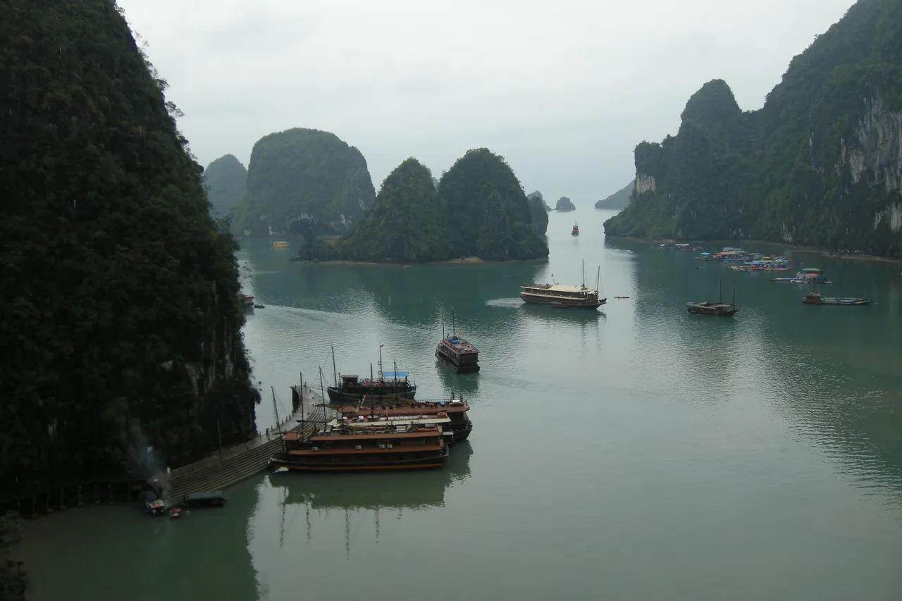 Wooden tour boats moored below steep limestone islands in Ha Long Bay, seen from a hillside