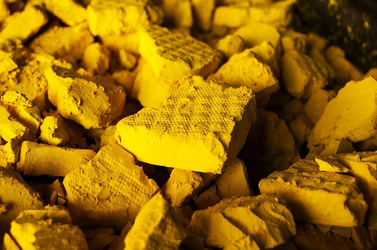 Lumps of bright yellow uranium concentrate, known as yellowcake